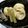 mielle's cooksnap of when they made がんもの煮物.