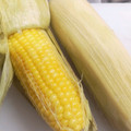 ぜんだいママ's cooksnap of when they made 圧力鍋で！ゆでとうもろこし.