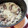 shiho23's cooksnap of when they made staub サバ缶で簡単炊き込みごはん.