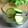 おしす's cooksnap of when they made 白菜漬けの漬け汁を再利用「胡瓜の浅漬け」.