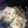tara1230's cooksnap of when they made キャベツともやしの(明太)マヨ卵炒め.