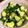 クックBZS1E4☆'s cooksnap of when they made やみつききゅうり.