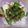 クックC0RPET☆'s cooksnap of when they made 笑えるほど簡単♡たらこしらたきパスタ.