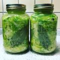 ☺RIOIBU☺'s cooksnap of when they made 【農家のレシピ】ザワークラウト.