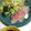 ふえ☆なるちゃん's cooksnap of when they made 広東風鯛のお刺身サラダ◎.