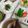 ぐりtoぐら's cooksnap of when they made 定番♪簡単♪♪鶏しめじの炊き込みごはん.