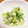 ふくえ☆'s cooksnap of when they made ネギタン塩.