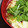 太巻きたまご's cooksnap of when they made ☆三つ葉とたまごのお吸い物☆.
