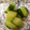 Poochcook's cooksnap of when they made おつまみきゅうり(きゅうりの漬物).