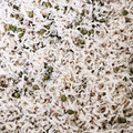 ムミゴン's cooksnap of when they made 山椒の実を買ったらちりめん山椒♪.