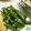 クックMVXCM0☆'s cooksnap of when they made 簡単一品！いんげんの胡麻和え☆.