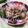 クックHG9V8Y☆'s cooksnap of when they made 簡単 すぐできる サラダ 材料３つ.