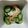pfizer's cooksnap of when they made えびときゅうりの中華酢の物.
