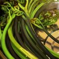 マコミコ's cooksnap of when they made ワラビの灰汁抜き.