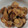 クックNM57TE☆'s cooksnap of when they made ベビーホタテの煮物.