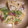 生誕１９７３年独身男's cooksnap of when they made ふきとしらすの炒め煮.