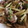 AiYuKE's cooksnap of when they made 豚こまと野菜の炒め物(和風).