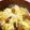 ゆう赤大好き♪♪'s cooksnap of when they made 株とりなめこと卵のお味噌汁♪ツルふわ食感.
