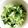 クックGB6431☆'s cooksnap of when they made キャベツ・ワカメ・大葉のナムル♪.