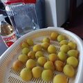 クックSJV67X☆'s cooksnap of when they made りんご酢で簡単！梅シロップ　梅ジュース.