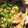 クック5O95XP☆'s cooksnap of when they made 簡単和風納豆スパゲティ.