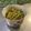 よこちゃんAAA's cooksnap of when they made 簡単副菜☆おつまみピリ辛モロッコいんげん.