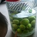 みかげいし⌒♪'s cooksnap of when they made 自家製♪簡単に作れる基本の梅酒.