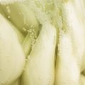 momo634's cooksnap of when they made 乳酸らっきょ！本漬けまでの下漬け.