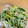 BriskOzu's cooksnap of when they made もやしときゅうりのナムル風.