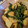ジュリア123's cooksnap of when they made いんげんとじゃがいものめんつゆ柚子胡椒味.