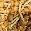 ☆テルエ☆'s cooksnap of when they made 株なめこ　石づきの切り方(落とし方).