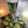 2880naaao's cooksnap of when they made ねこぶだしで浅漬け.