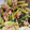 クックFAAF6J☆'s cooksnap of when they made 稲荷用お揚げで☆超簡単小松菜和え.