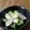 やなぎだまこ's cooksnap of when they made アボカドと魚ニソ＆チーズのレモン和え.