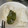 あや。。！'s cooksnap of when they made 大葉のごま油醤油 自分用メモ.