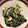しゅう5656's cooksnap of when they made 白滝とほうれん草のツナマヨ炒め.