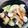 kinniko's cooksnap of when they made シーフードミックス＊たっぷり野菜の中華丼.