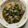 クック78R779☆'s cooksnap of when they made 鶏ももとかいわれ大根の甘辛焼.
