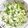 クックGB6431☆'s cooksnap of when they made 簡単キャベツの胡麻白和え.