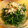 nemumaru's cooksnap of when they made おかひじきとえのきだけのおひたし.