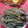 ☆☆あっきん☆☆'s cooksnap of when they made わらびとえのきと白滝の煮物.