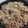 みこひろママ's cooksnap of when they made 簡単♪鶏もも肉のもやし＆ネギ塩ダレ炒め.