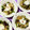 ふたごゆき's cooksnap of when they made 厚揚げと茄子のみぞれがけ.