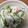 みずの花's cooksnap of when they made サッパ簡単！きゅうりとホタテのマヨサラダ.