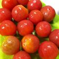 KAWAMINA's cooksnap of when they made つるん♪ミニトマトの湯むきが簡単に.