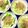 ふたごゆき's cooksnap of when they made キャベツを生姜醤油でかんたん和え♪.