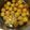 こっつぇん's cooksnap of when they made ホットクック♡梅シロップ♪.