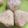 おゆーv0w0v's cooksnap of when they made 主人も吠えたツナ・マヨ・青海苔のおにぎり.