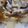 PERO✯'s cooksnap of when they made 白だし香る✤関西風親子丼.