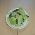 きらり流れ星's cooksnap of when they made 包丁要らず☆レタスと海苔の ちぎりサラダ.